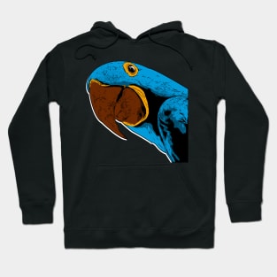 Hyacinth Macaw Parrot Comic Style Art Hoodie